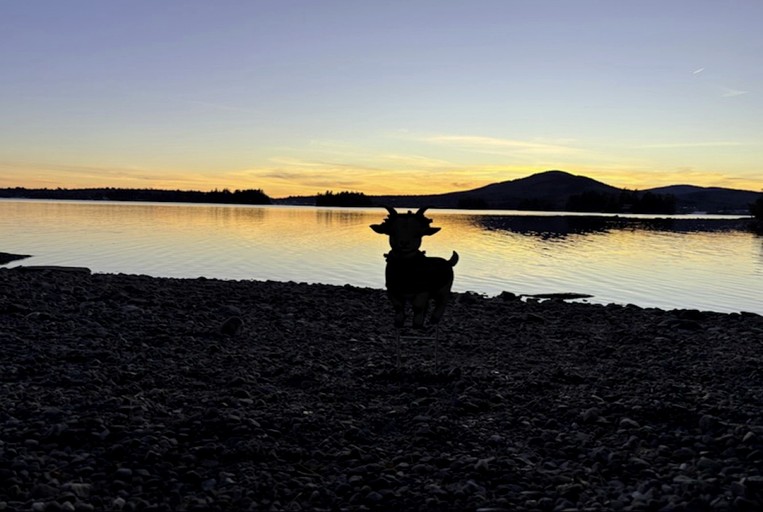 Cabins (United States of America, Greenville, Maine)