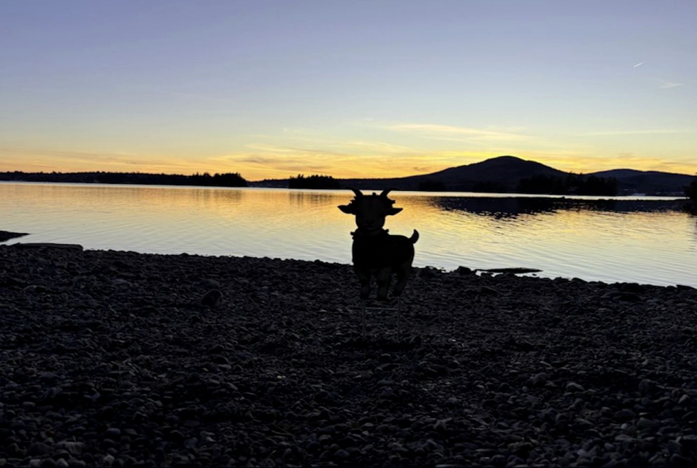 Secluded Lakefront Hideaway with Dock, Fire Pit & Forest Views in Greenville, Maine
