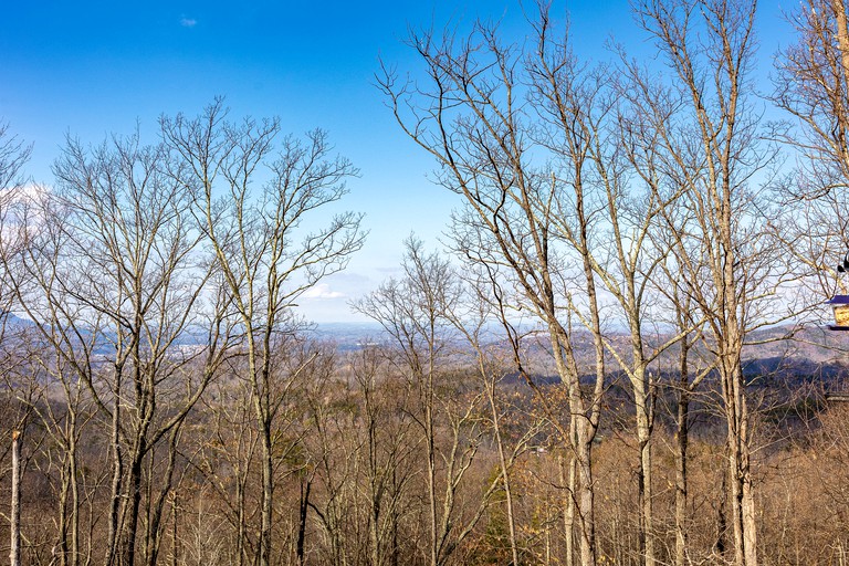 Cabins (United States of America, Sevierville, Tennessee)