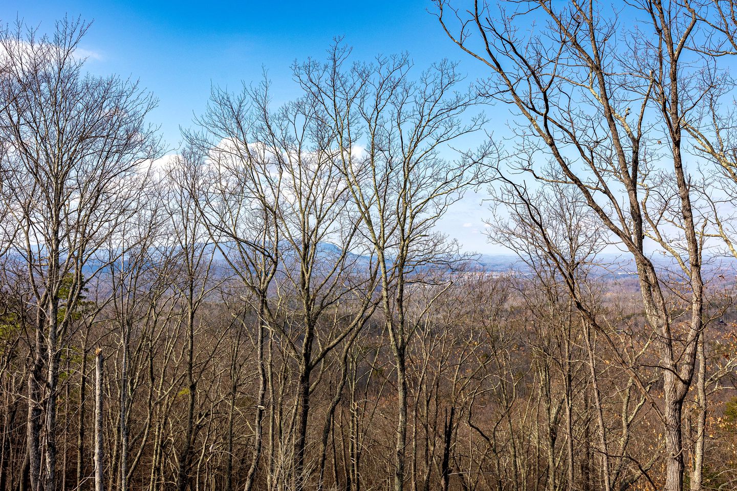 Panoramic Perfection: Luxurious Cabin with Unobstructed Views of Great Smoky Peaks!