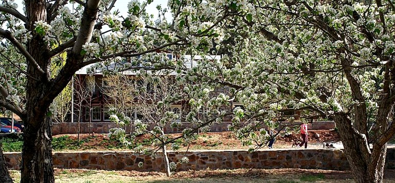 Nature Lodges (Kingston, New Mexico, United States)