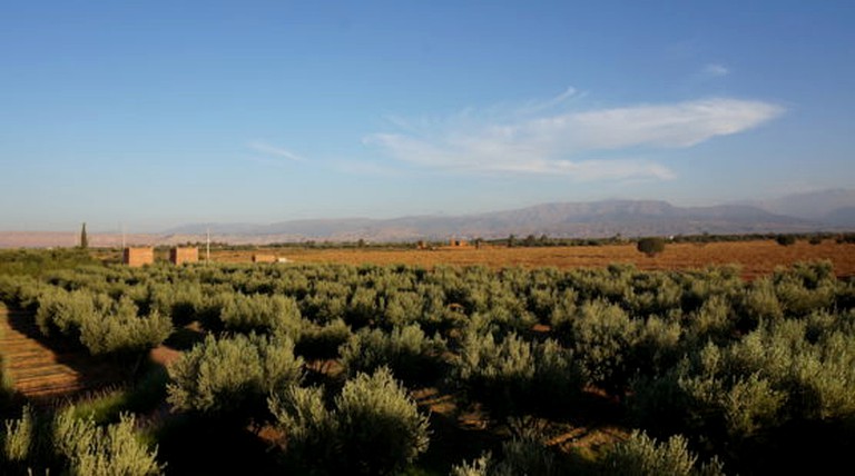 Villas (Marrakesh, Marrakesh-Safi Region, Morocco)