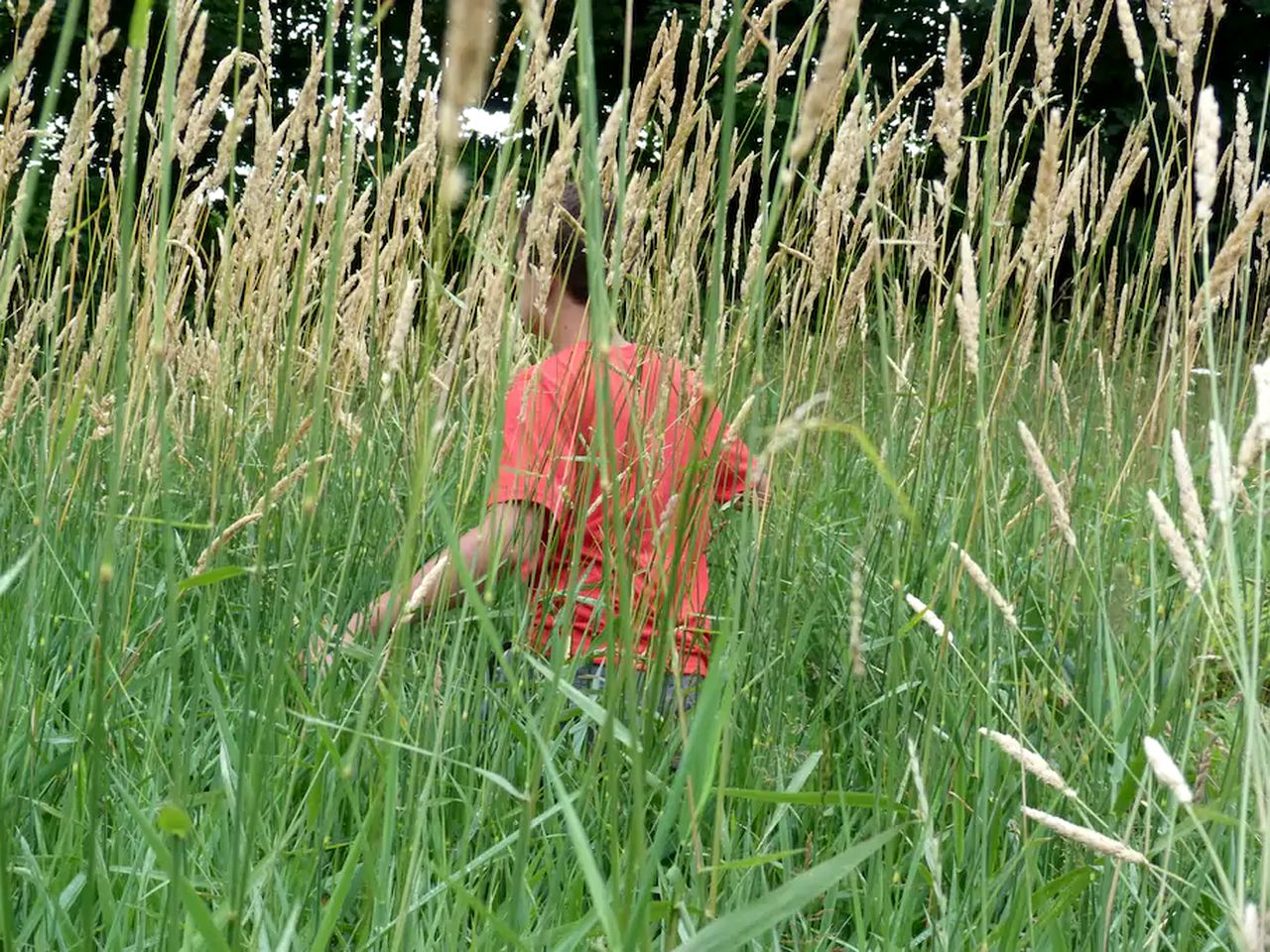 Romantic Getaway Cabin on a Working Farm in Royalton, Vermont