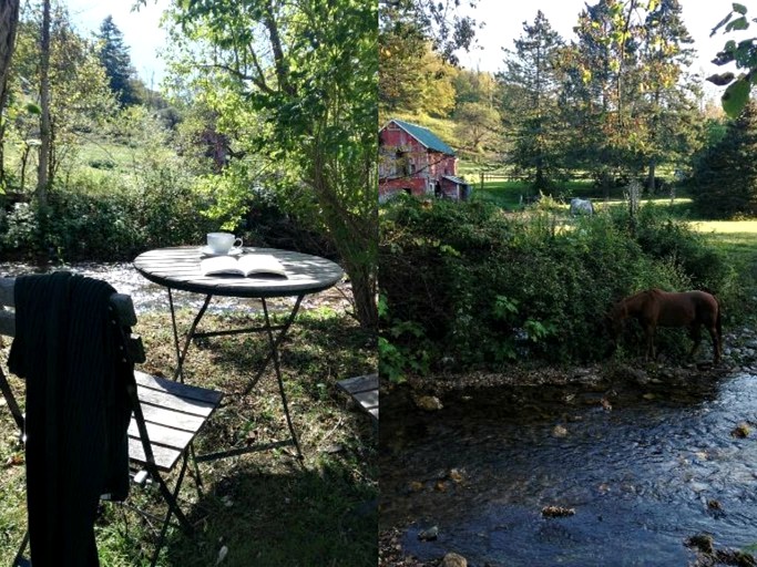 Nature Lodges (Sandgate, Vermont, United States)