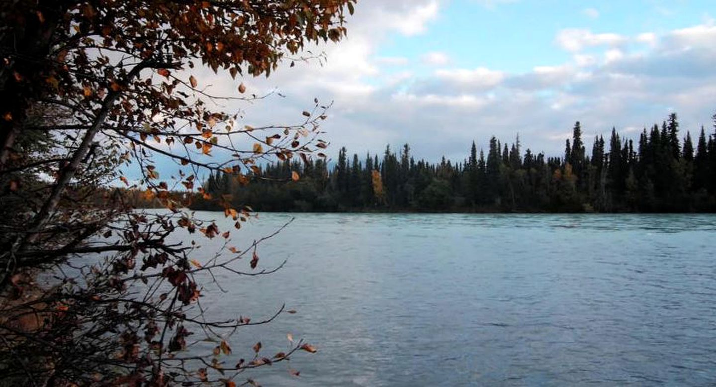 Cozy Log Cabin Rental for a Luxury Camping Getaway near Homer, Alaska