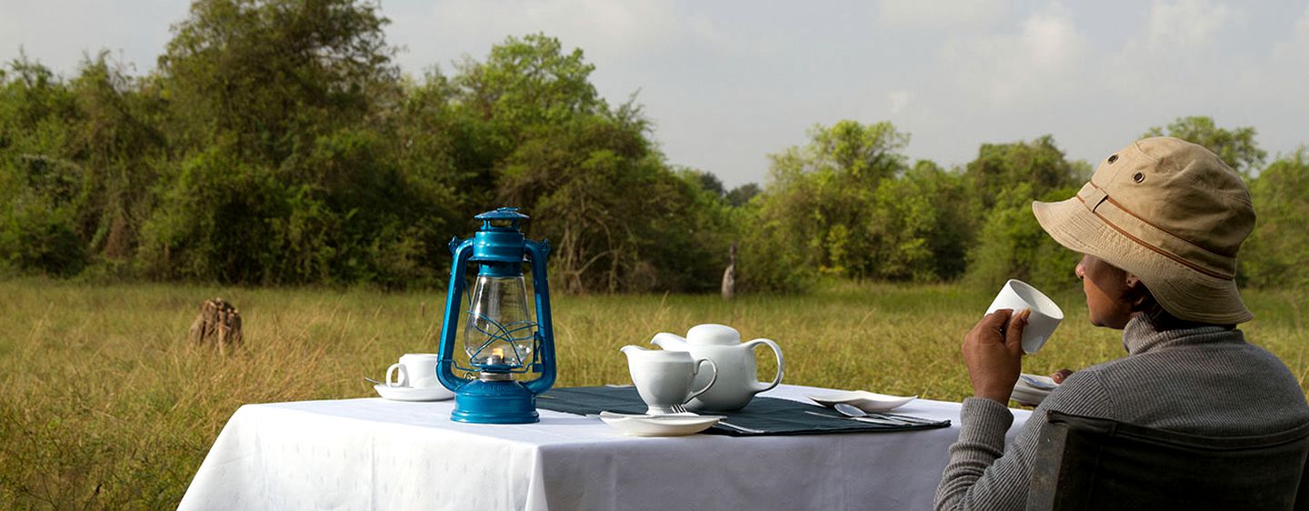 Large Tent for Nature Retreat near Impressive National Park in Colombo, Sri Lanka