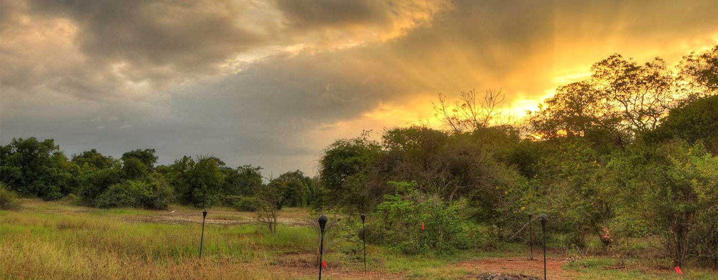 Large Tent for Nature Retreat near Impressive National Park in Colombo, Sri Lanka