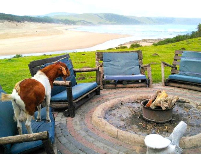 Huts (Nqileni, Eastern Cape, South Africa)