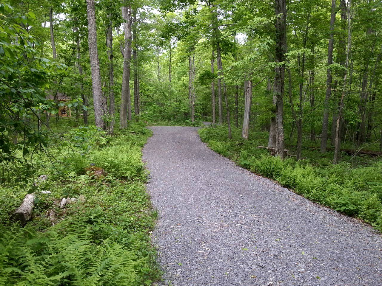 Charming Camping Cabin Rental in the Woods near Oakland, Maryland