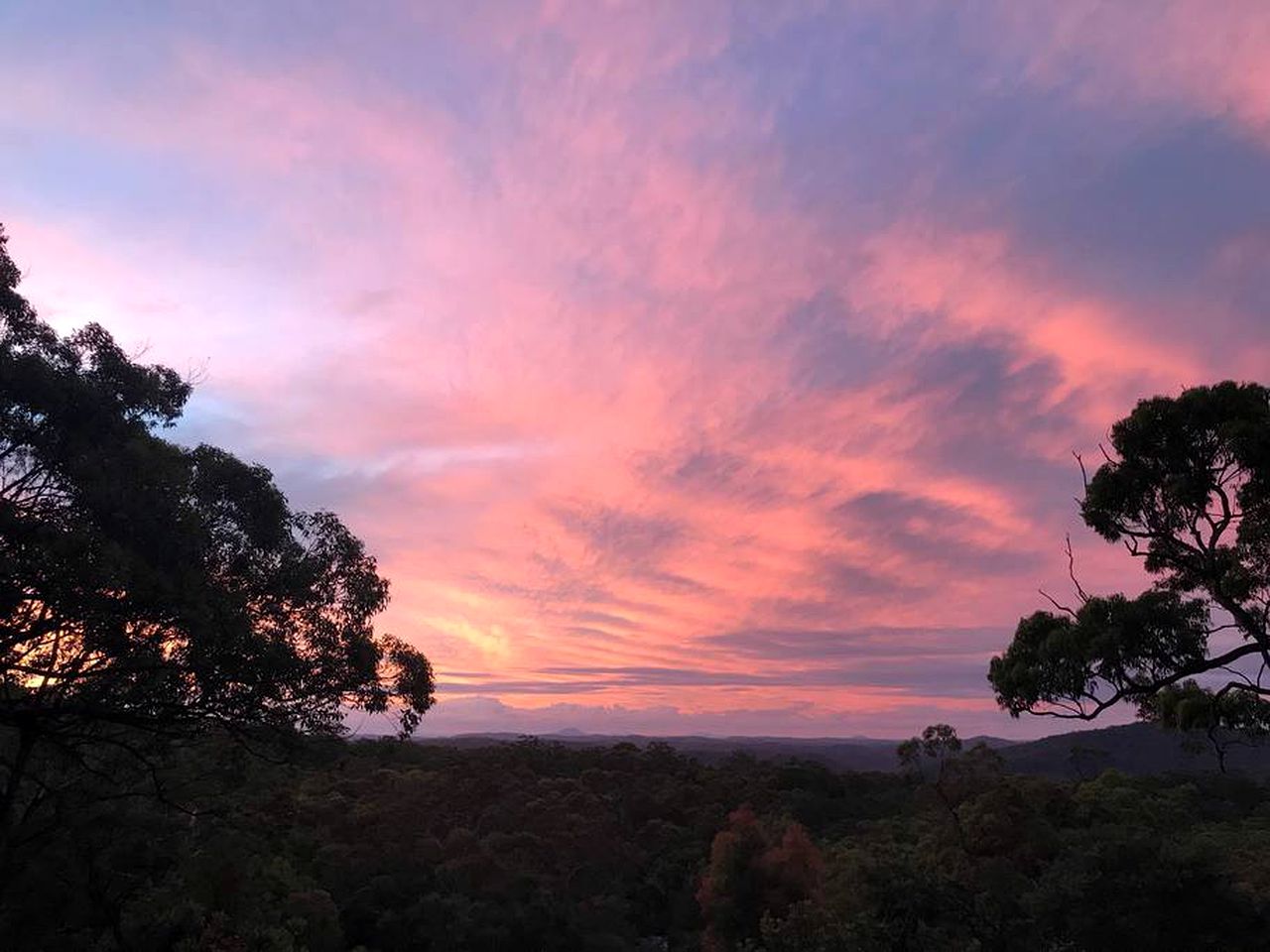 Secluded Glamping Tent with Views of Mount Yengo in Bucketty, New South Wales