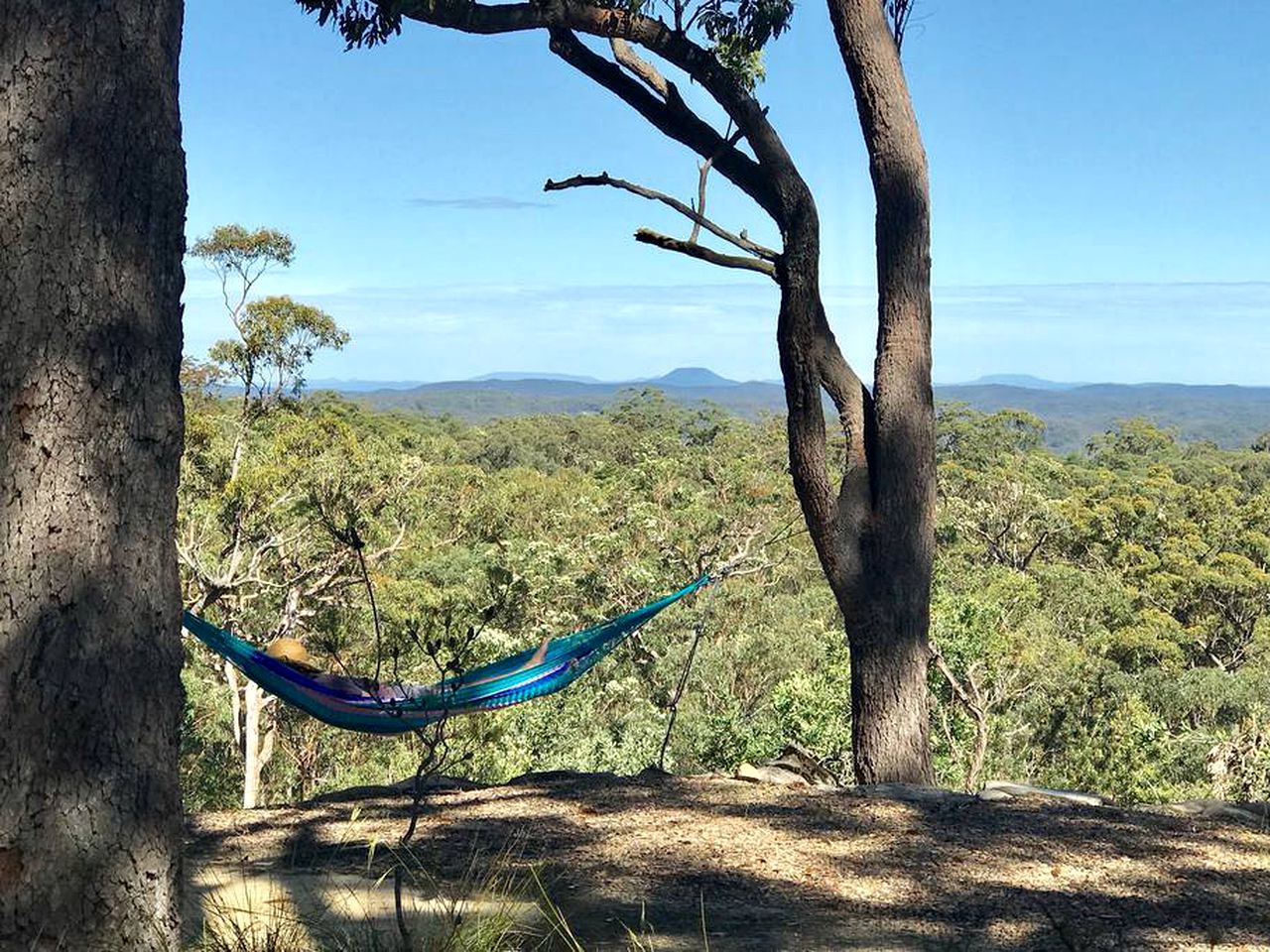 Secluded Glamping Tent with Views of Mount Yengo in Bucketty, New South Wales