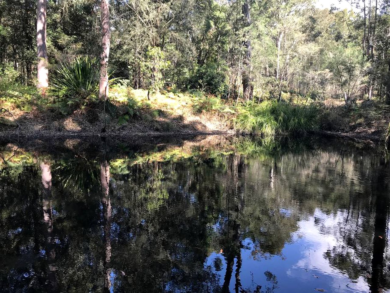 Secluded Glamping Tent with Views of Mount Yengo in Bucketty, New South Wales