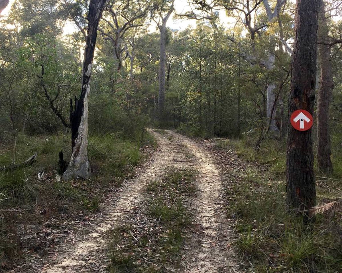 Secluded Glamping Tent with Views of Mount Yengo in Bucketty, New South Wales