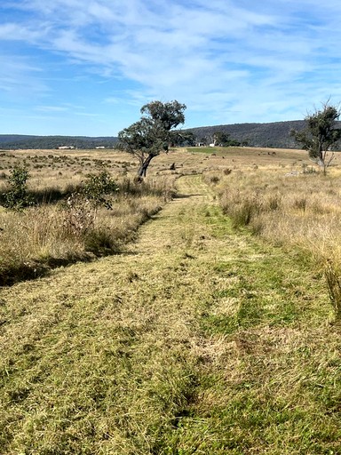 Tiny Houses (Australia, Towrang, New South Wales)