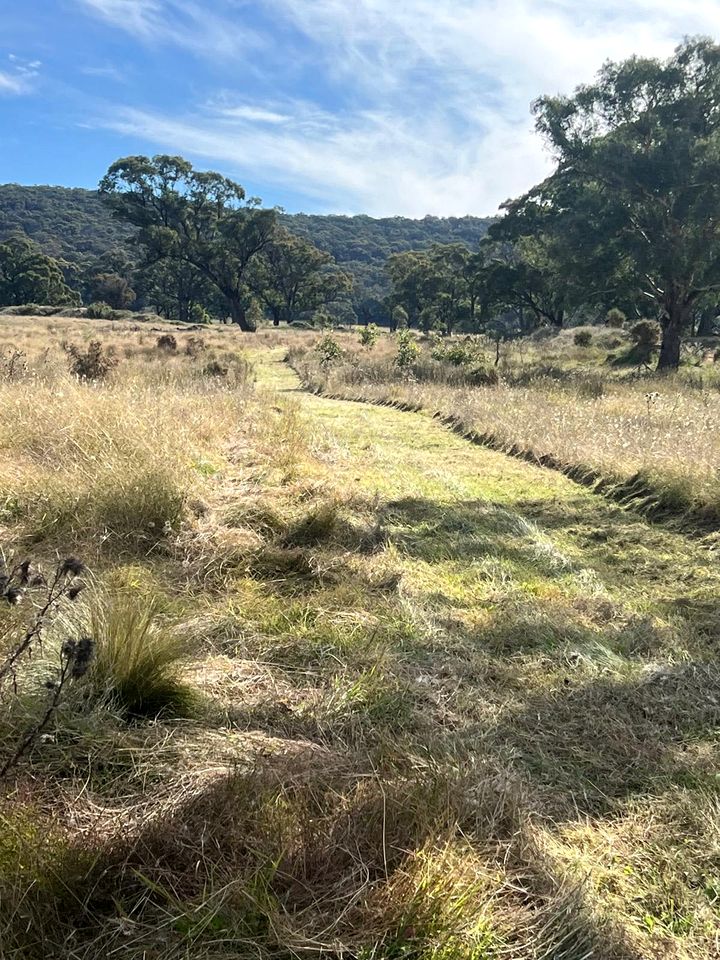 Fantastic Tiny House with Fire Pit and Close to Great Hiking Trails in Towrang, New South Wales