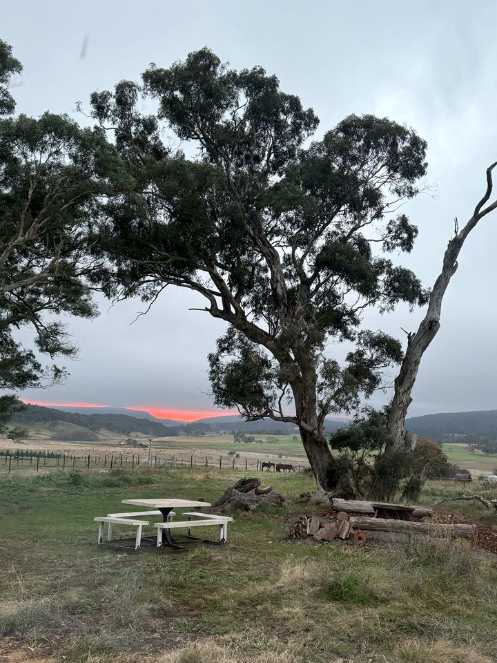 Fantastic Tiny House with Fire Pit and Close to Great Hiking Trails in Towrang, New South Wales