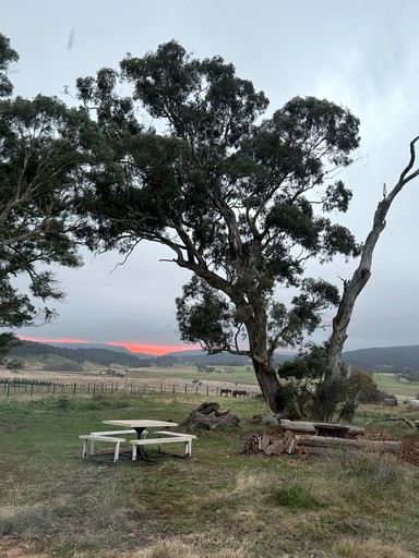 Tiny Houses (Australia, Towrang, New South Wales)
