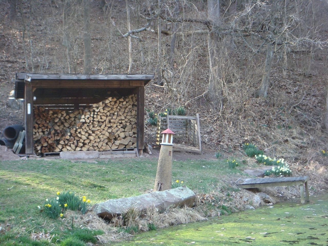 Charming and Historic Converted Mill Cottage on Private Land with a Firepit, in Schuylkill County, PA