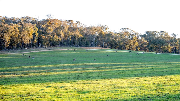 Tiny Houses (Australia, Warrenmang, Victoria)