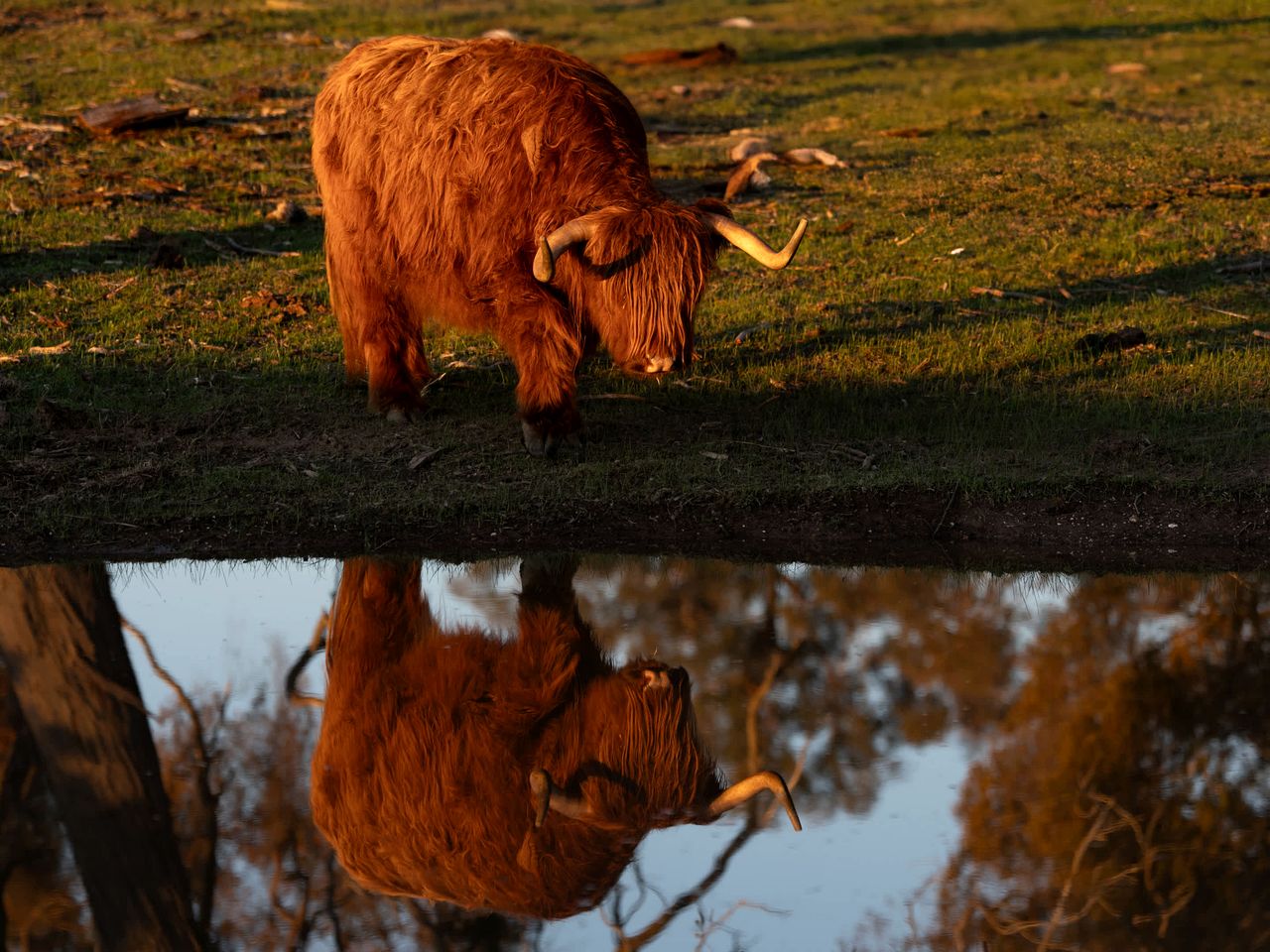 Tranquil Tiny House Farm Stay with Rolling Hill Views near Grampians, Warrenmang Victoria