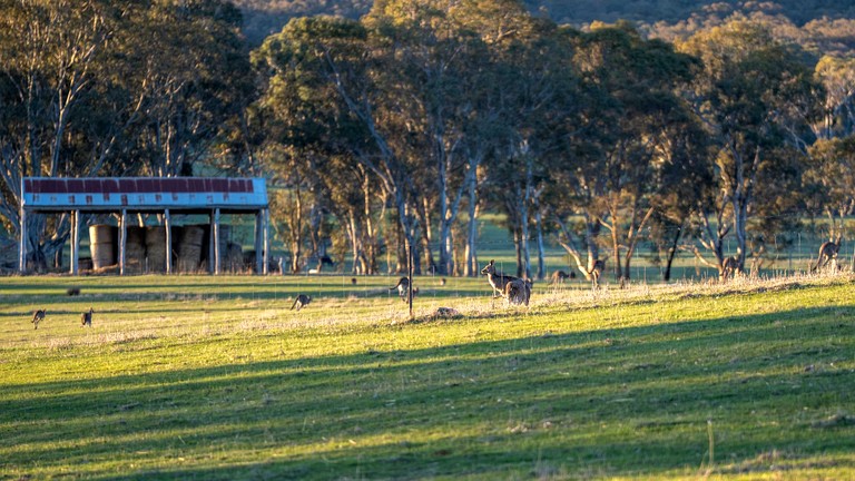 Tiny Houses (Australia, Warrenmang, Victoria)