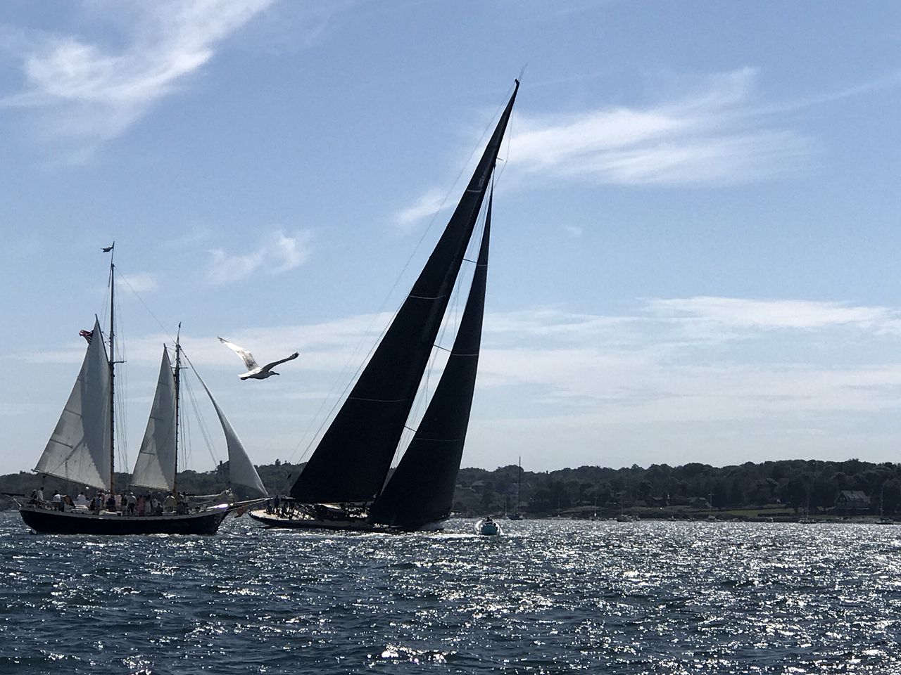 Beautiful Cozy Cabin in Saunderstown, Rhode Island