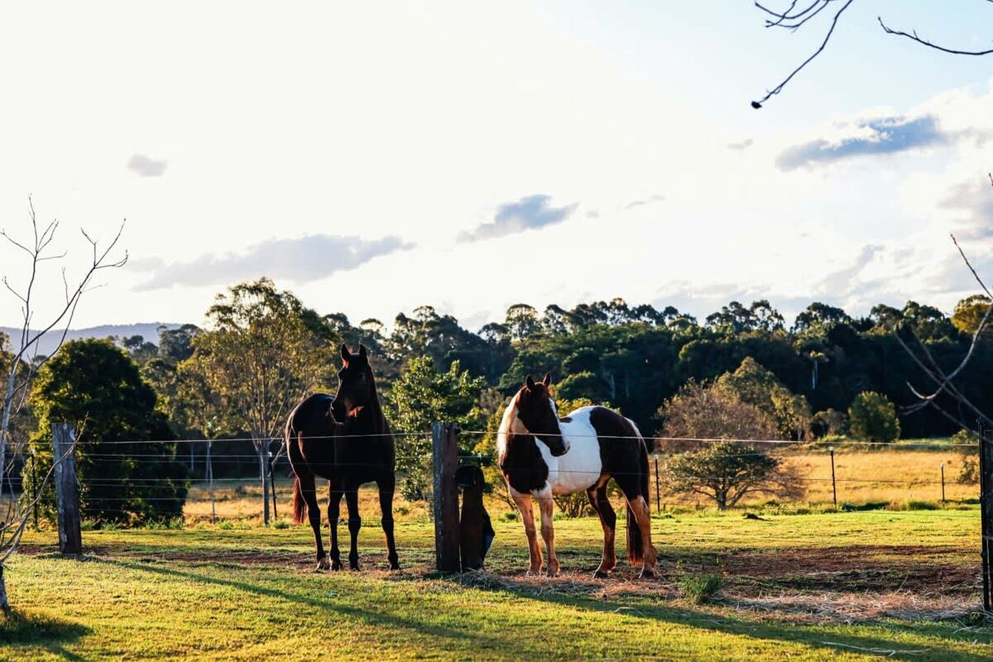 Coastal Glamping in a New South Wales Tiny House