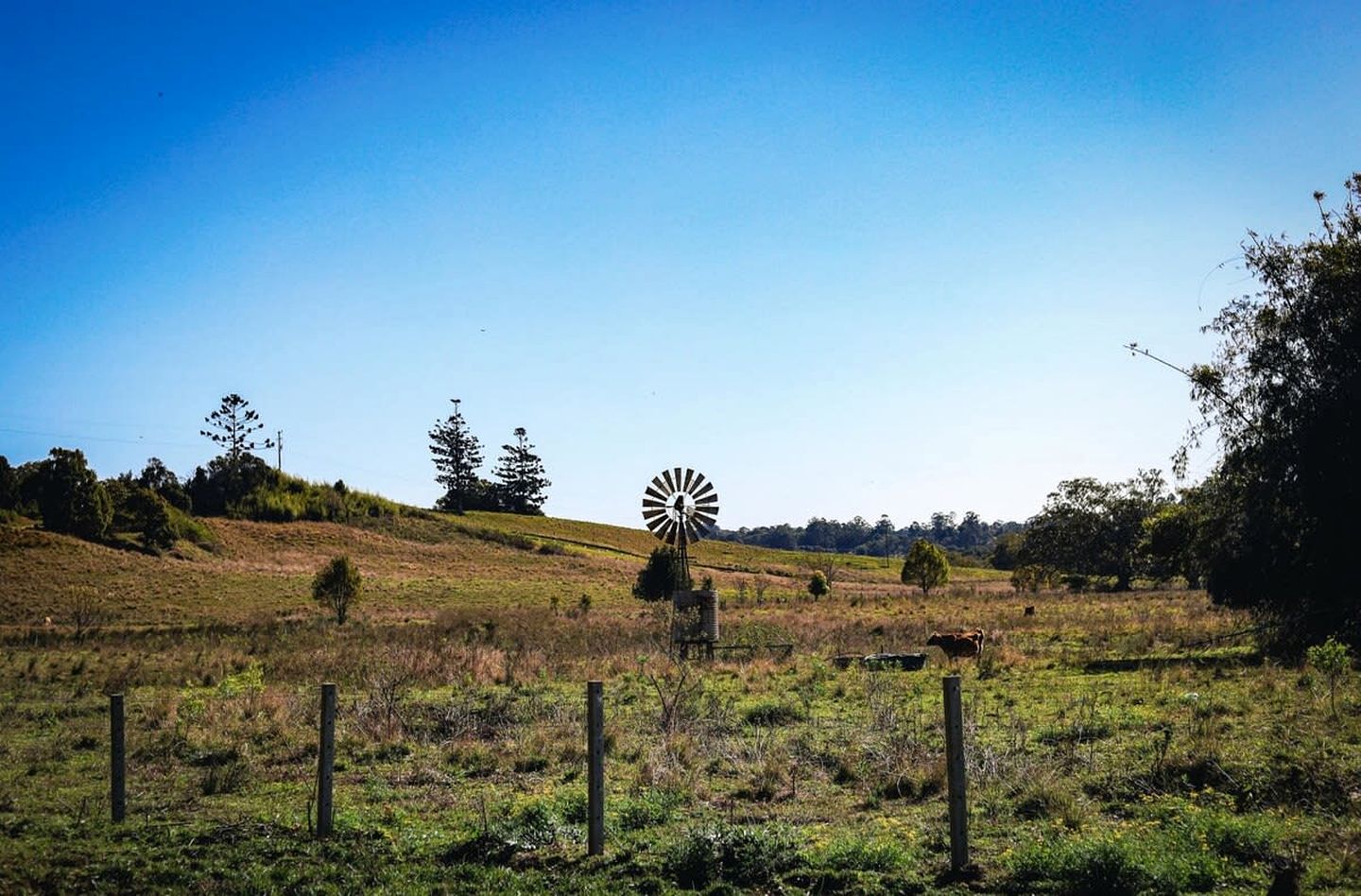 Coastal Glamping in a New South Wales Tiny House