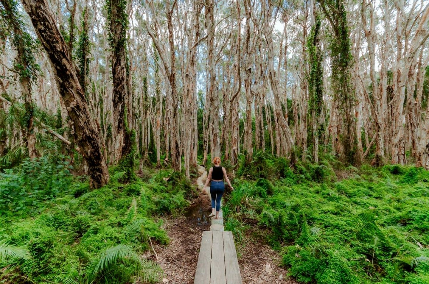 Coastal Tiny House Glamping in Agnes Water, Queensland