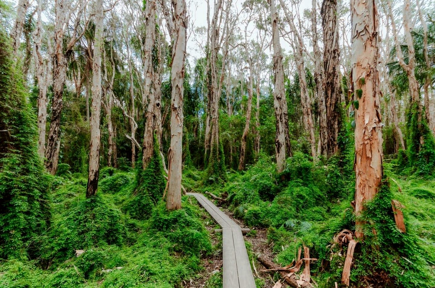 Coastal Tiny House Glamping in Agnes Water, Queensland