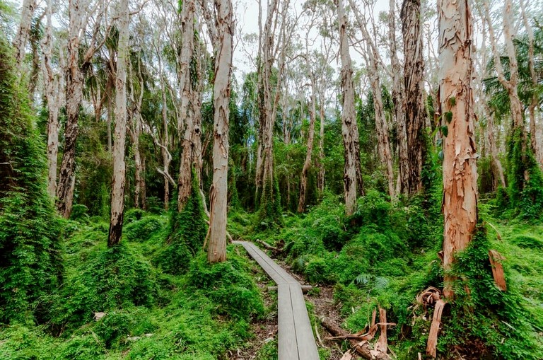 Tiny Houses (Australia, Agnes Water, Queensland)