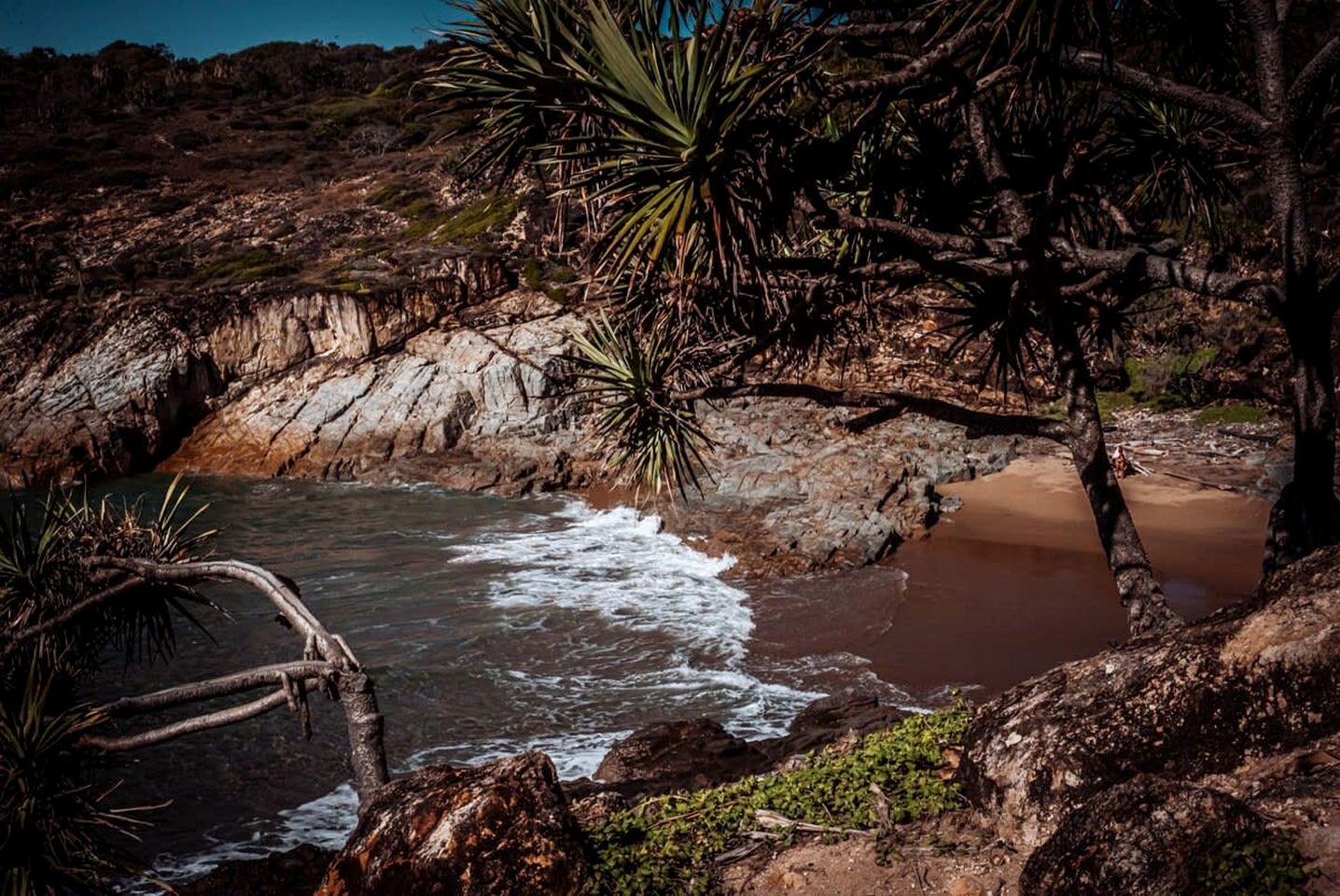 Coastal Tiny House for Glamping near Deepwater National Park