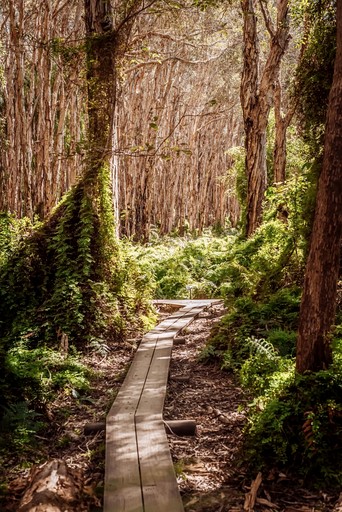 Vacation Rentals (Australia, Deepwater, Queensland)