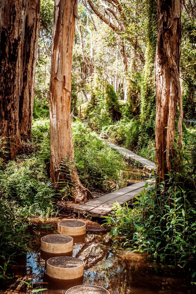 Coastal Tiny House for Glamping near Deepwater National Park