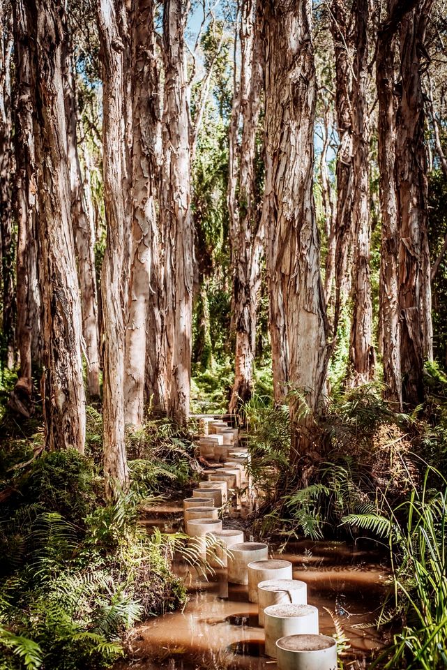 Coastal Tiny House for Glamping near Deepwater National Park