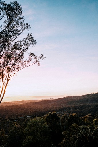 Cabins (Australia, Mudgeeraba, Queensland)