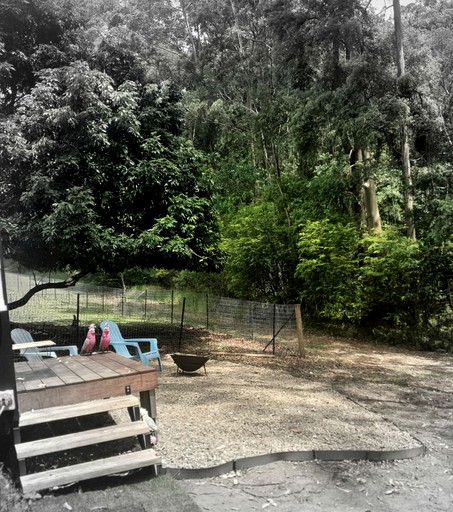 Vacation Rentals (Australia, Palmwoods, --)