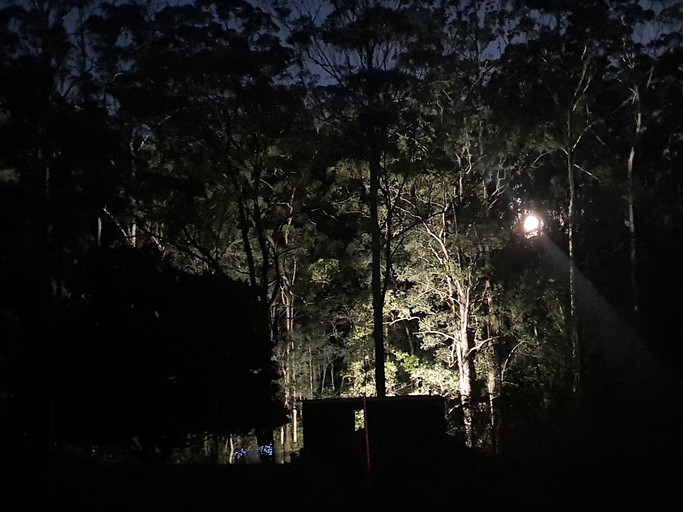 Vacation Rentals (Australia, Palmwoods, --)