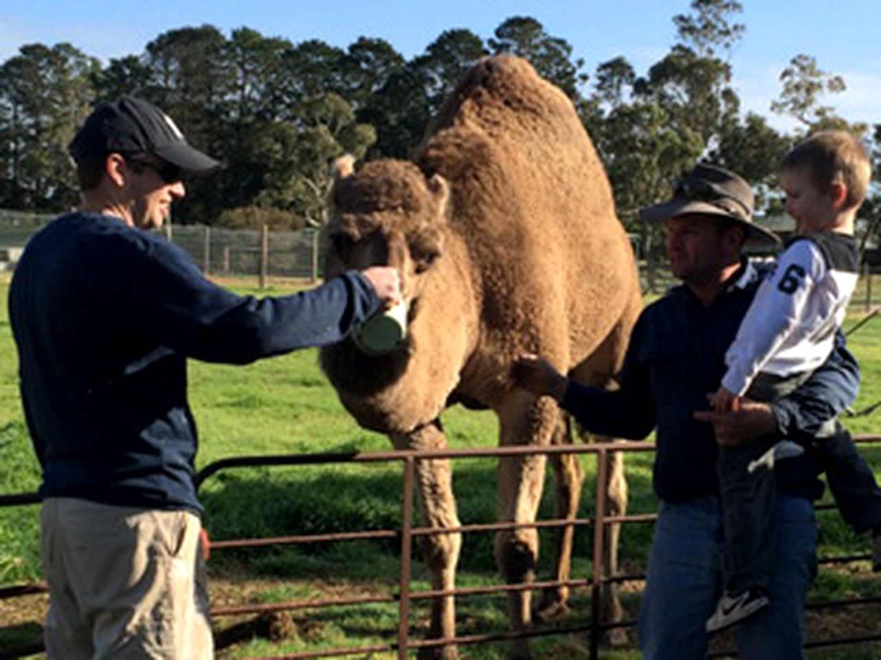 Family-Friendly Cottage Rental on a Farm near Bordertown, South Australia