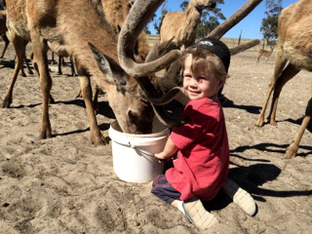 Family-Friendly Cottage Rental on a Farm near Bordertown, South Australia