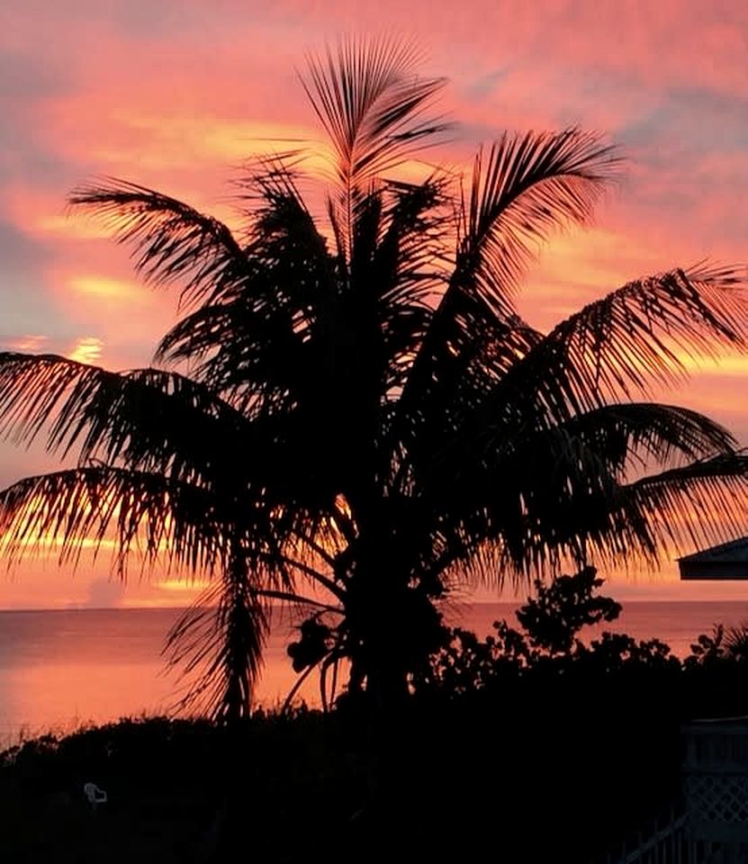 Secluded Beachfront Island Home with Hammocks and Tiki Hut on Little Gasparilla Island, Florida