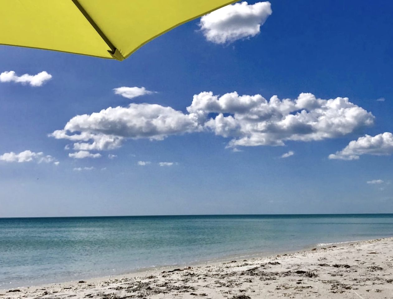 Secluded Beachfront Island Home with Hammocks and Tiki Hut on Little Gasparilla Island, Florida