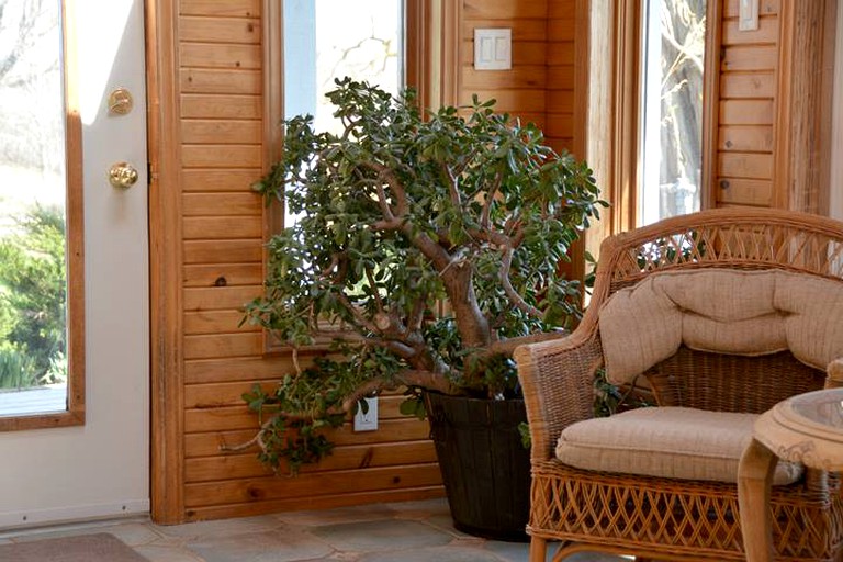 Vacation Rentals (Belleville, Ontario, Canada)