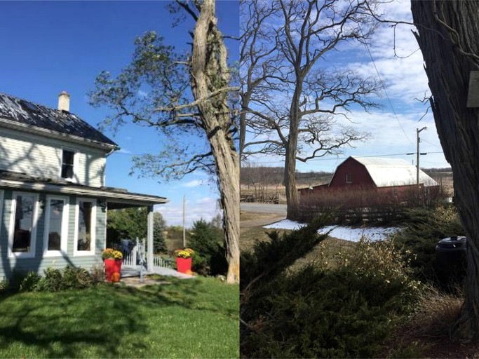 Vacation Rentals (Belleville, Ontario, Canada)