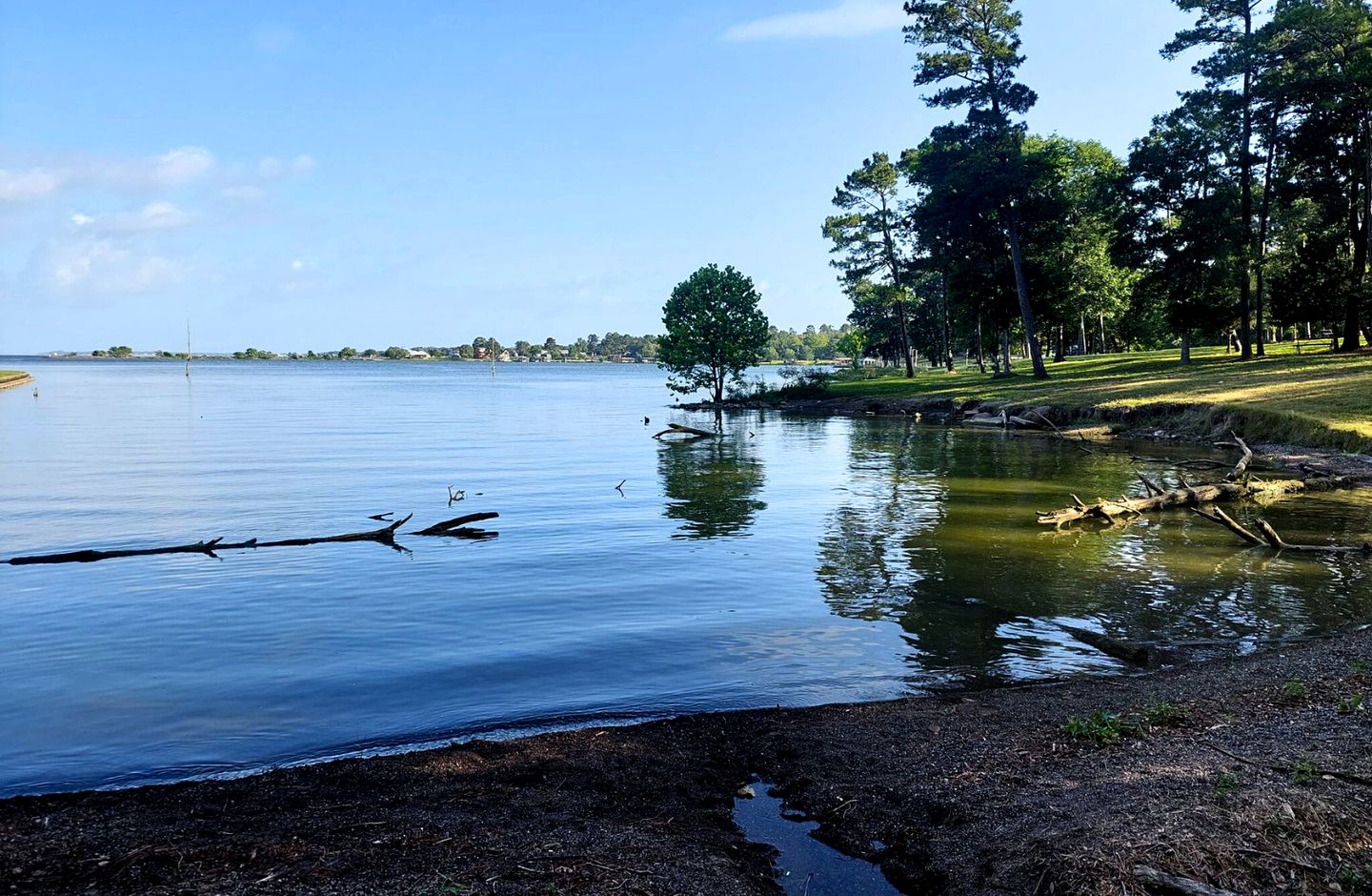 Khushatta Hills Ranch Glamping - Alzeda