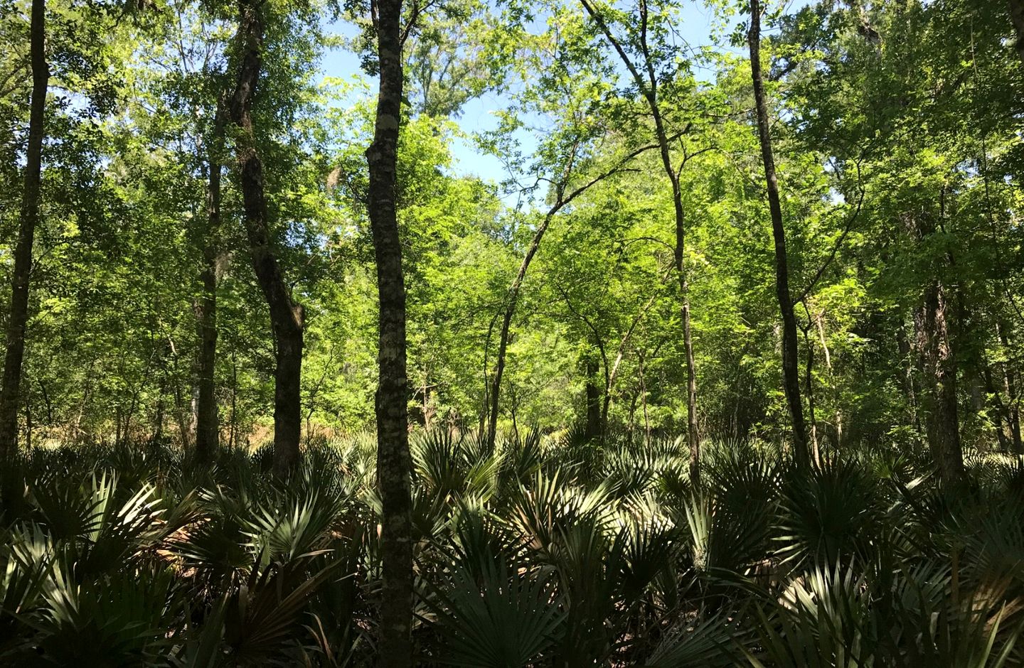 Khushatta Hills Ranch Glamping - Alzeda