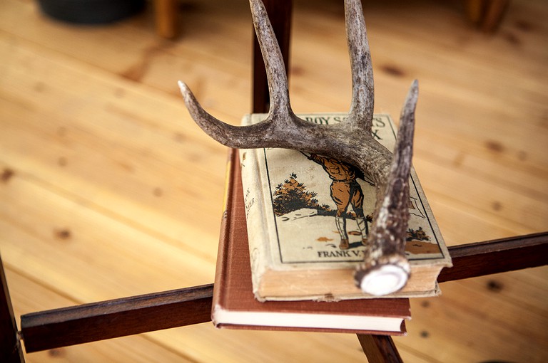 Safari Tents (Ghent, New York, United States)