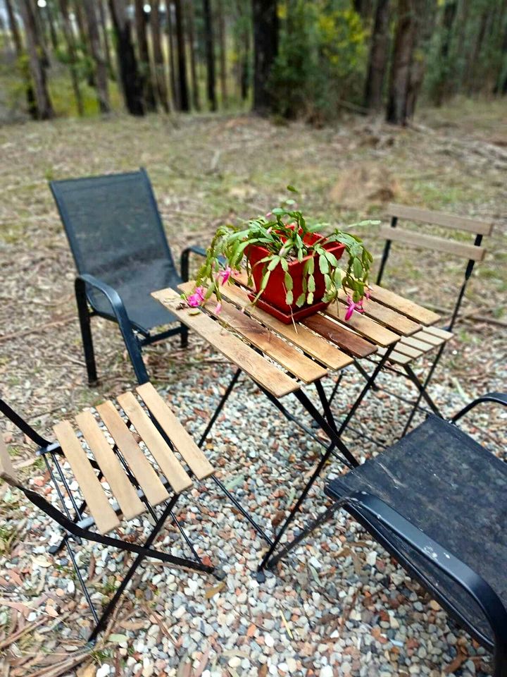 Secluded Tiny House with Off-Grid Charm near Colo River & Blue Mountains, NSW
