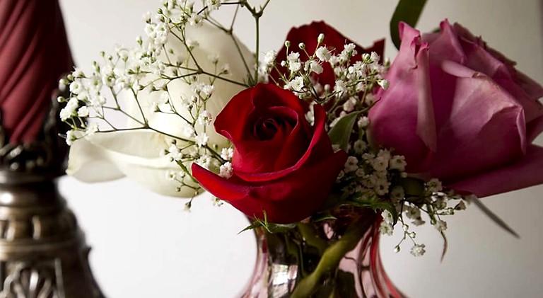 Nature Lodges (Williamsburg, Virginia, United States)