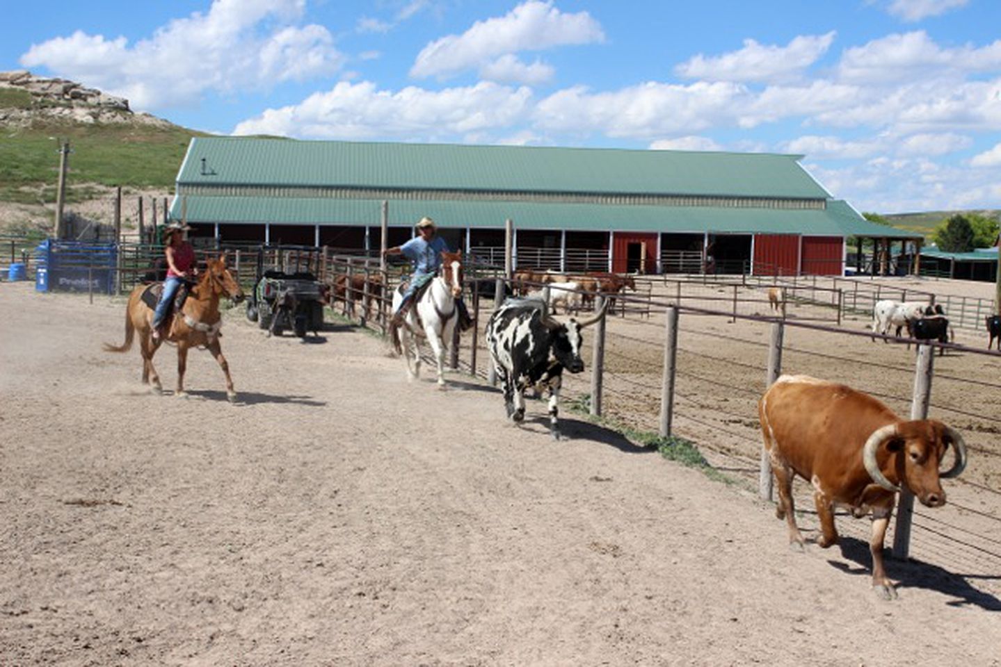 Log Cabin Rooms for Rent on a Guest Ranch in New Raymer, Colorado